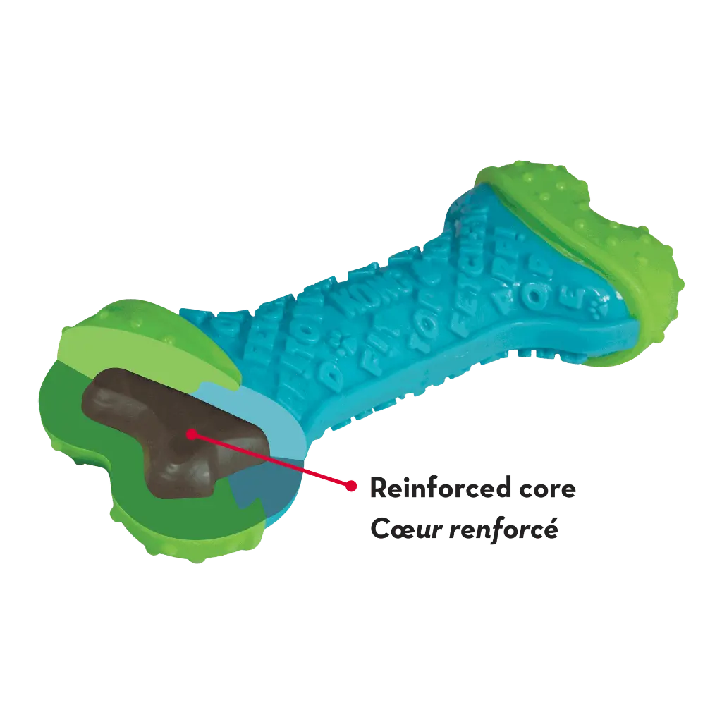 PFC31_EDU_1.webp