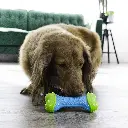 PFC31_LIFE_2.webp