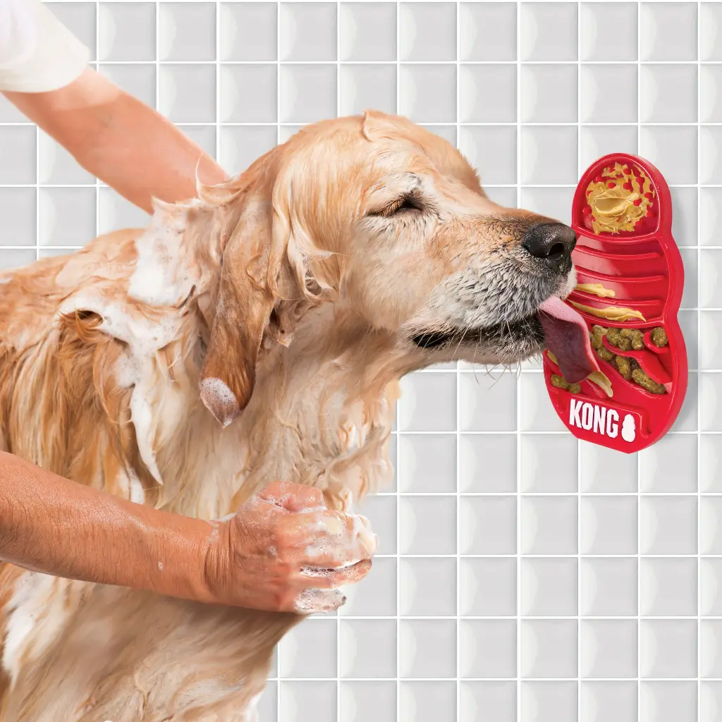 lick1.webp