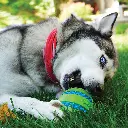 PSG22_LIFE_1.webp