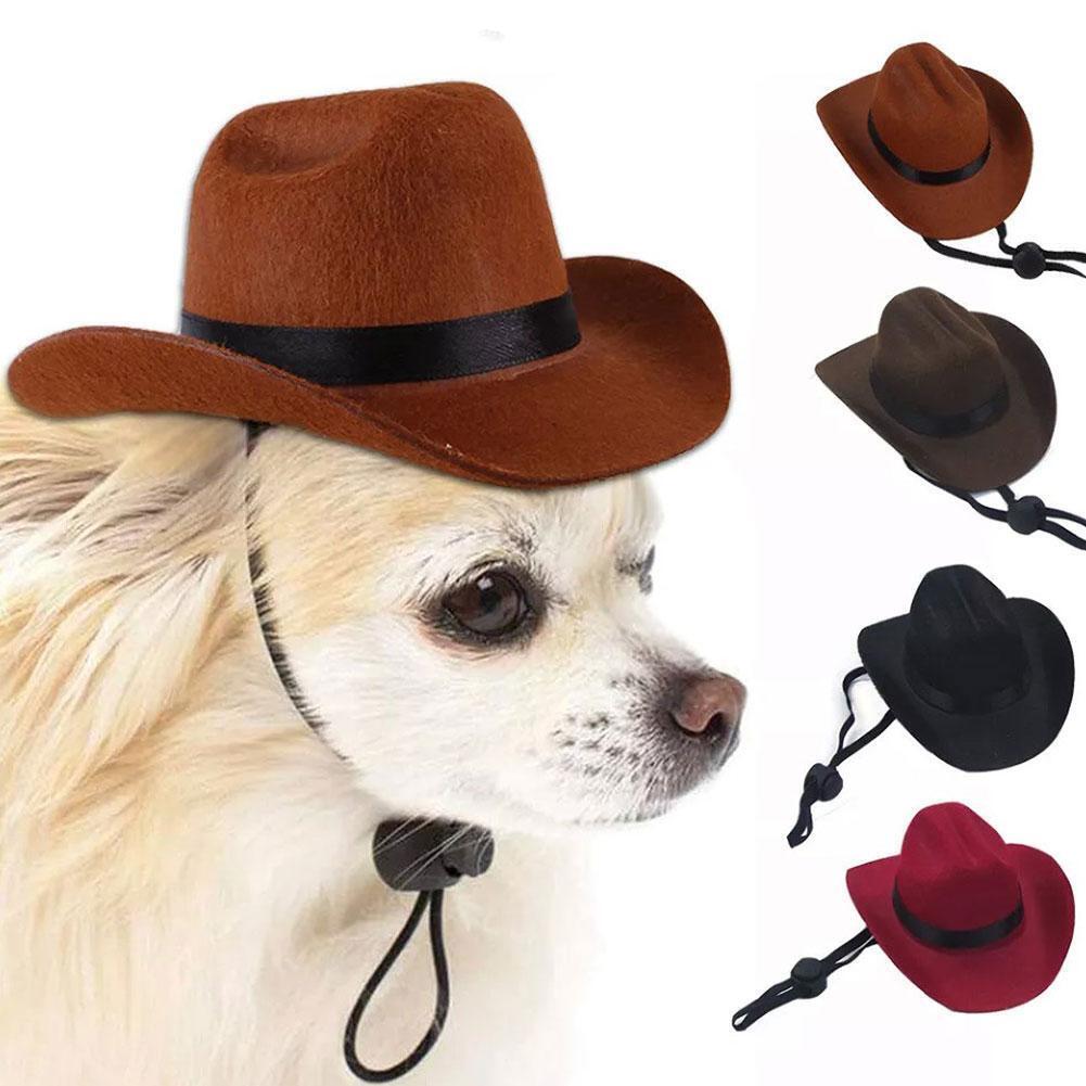 Sombrero de mascota diferentes colores
