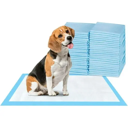 Paquete de pads 40 unidades