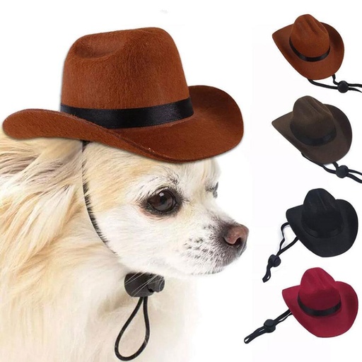 Sombrero de mascota diferentes colores
